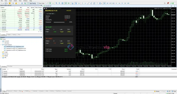 MAXPRO EA MT5 Review-2