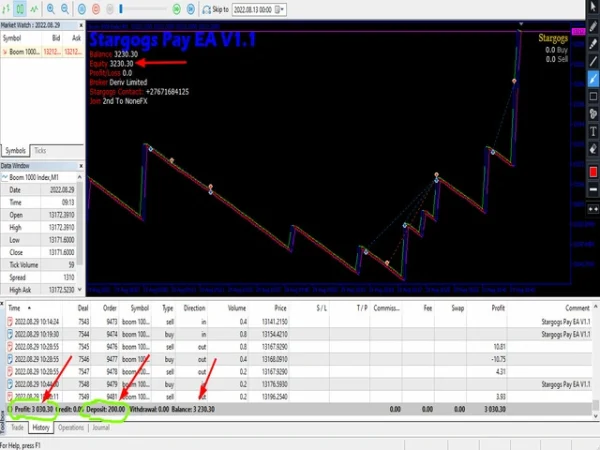 Stargogs Pay EA MT5 Review 4