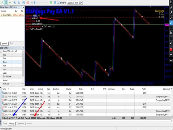Stargogs Pay EA MT5 Review 6
