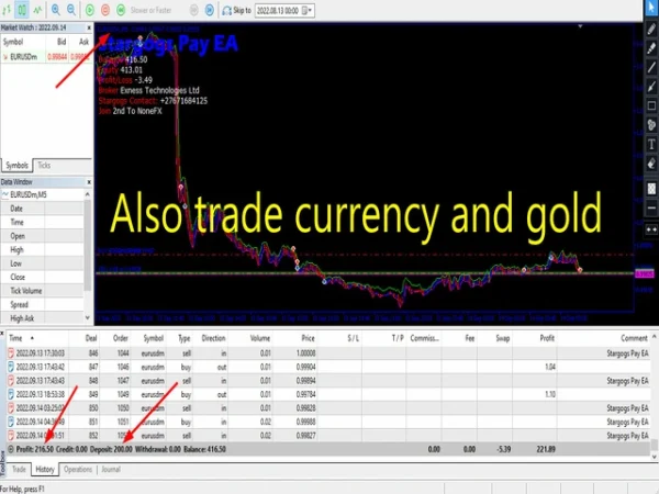 Stargogs Pay EA MT5 Review 8