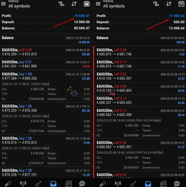 VIGRO PRO V6 EA MT4 XAUUSD trade history and profit example