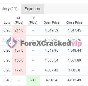 Alpha Striker F2 MT5 - Myfxbook 10% Monthly Gain with Low Drawdown | SetFile - Image 4