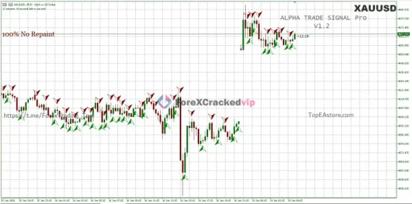 Alpha Trade Signal Pro MT5 Result 2-2
