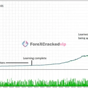 Chiroptera MT5 Backtest Result 1-1