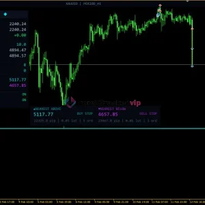 Gold House MT5 Backtest result 5