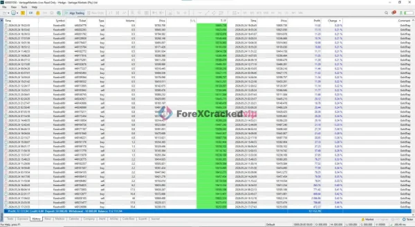 Gold Trap EA MT5 Result 1